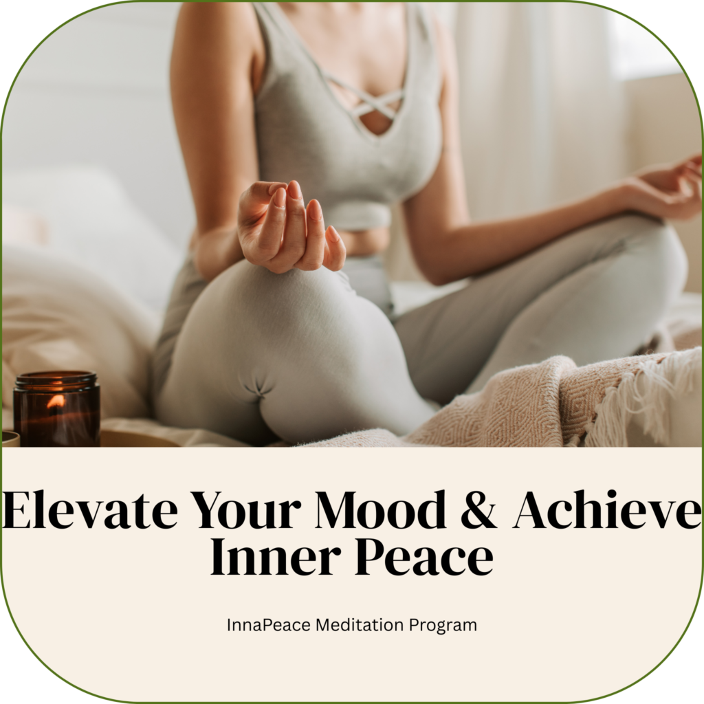 Meditation Program